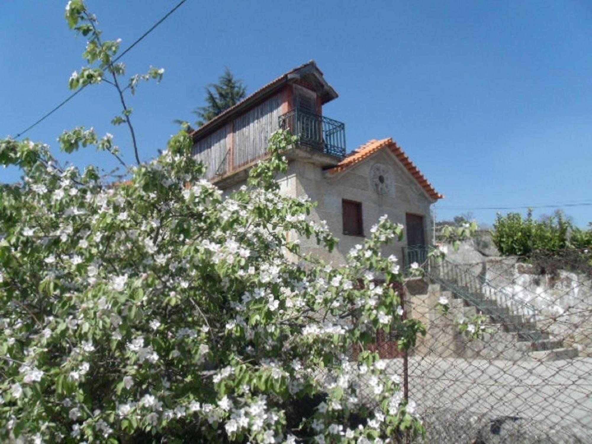 Quinta Da Casa Grande Pinheiro Guest House Baião Exterior photo